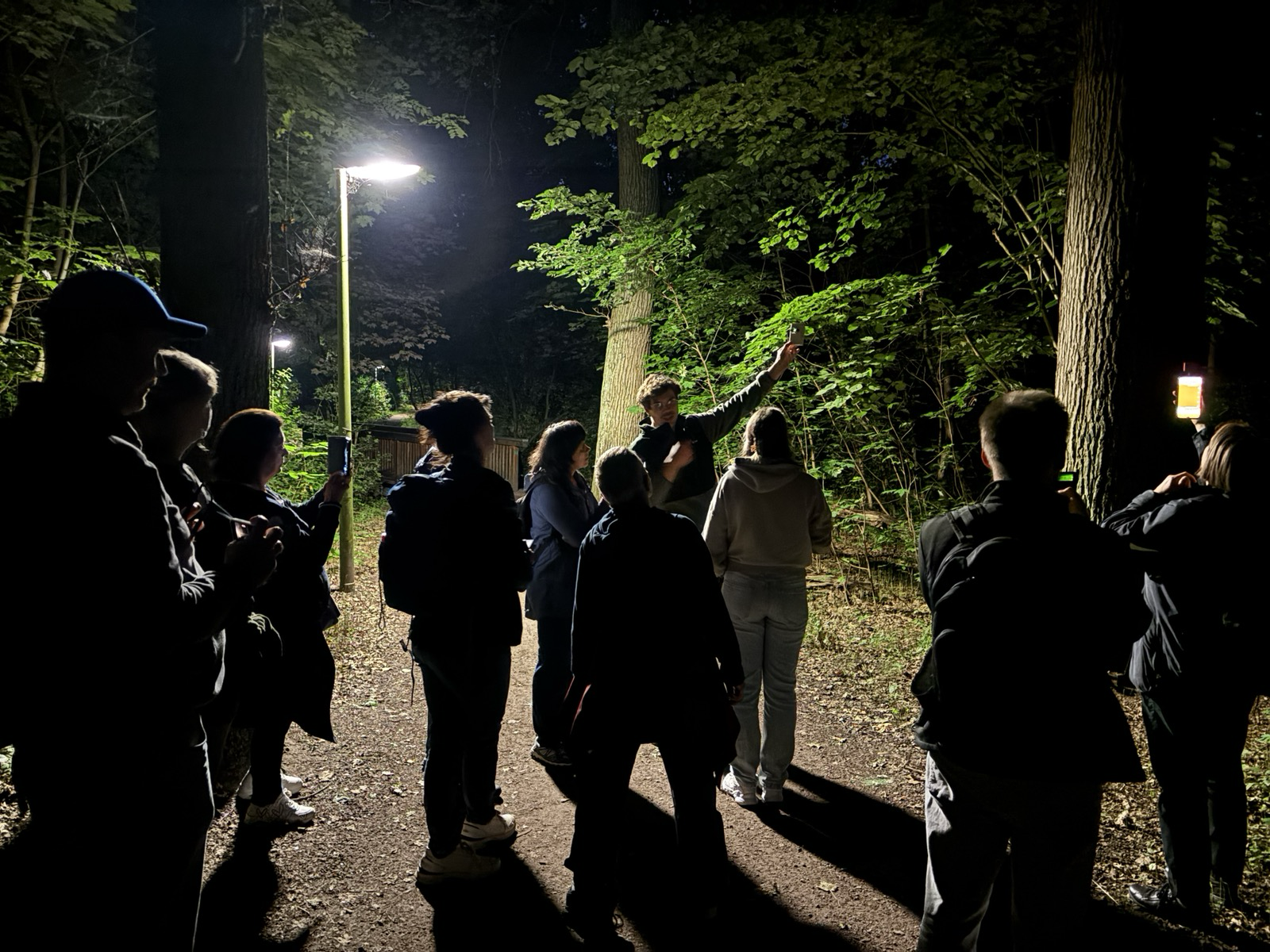 Schnupperkurs Fledermäuse – Loki Schmidt Stiftung